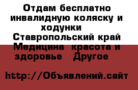 Отдам бесплатно инвалидную коляску и ходунки. - Ставропольский край Медицина, красота и здоровье » Другое   